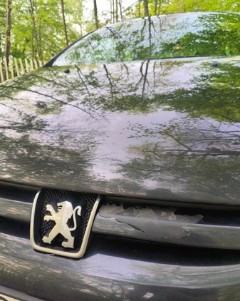 Peugeot 307 cena 5700 przebieg: 163824, rok produkcji 2005 z Poznań małe 92
